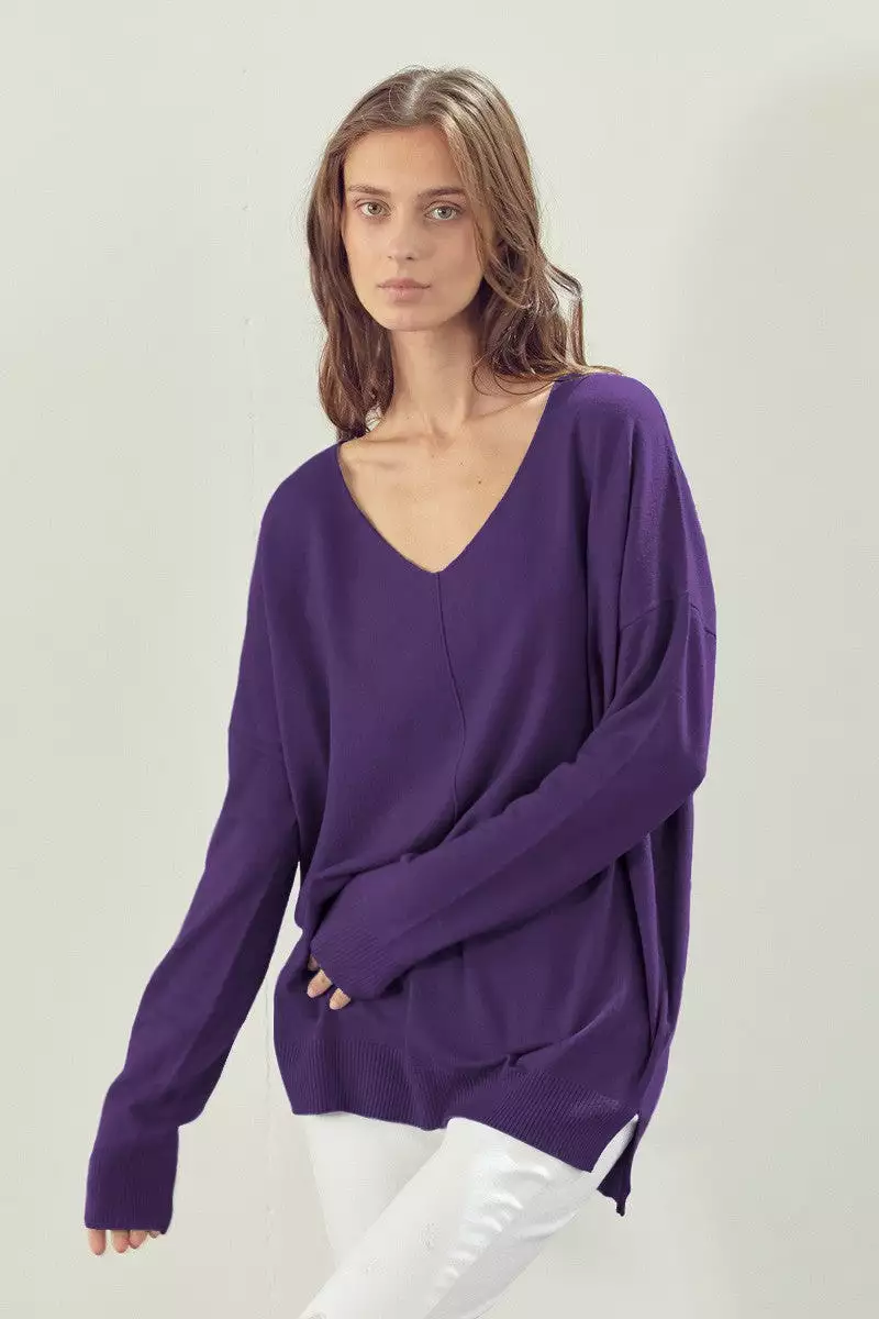 V NECK LINE PULLOVER SWEATER - PURPLE